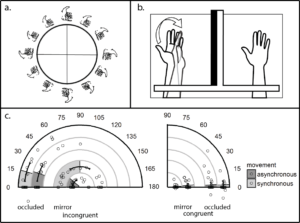 biomechanical_constraints